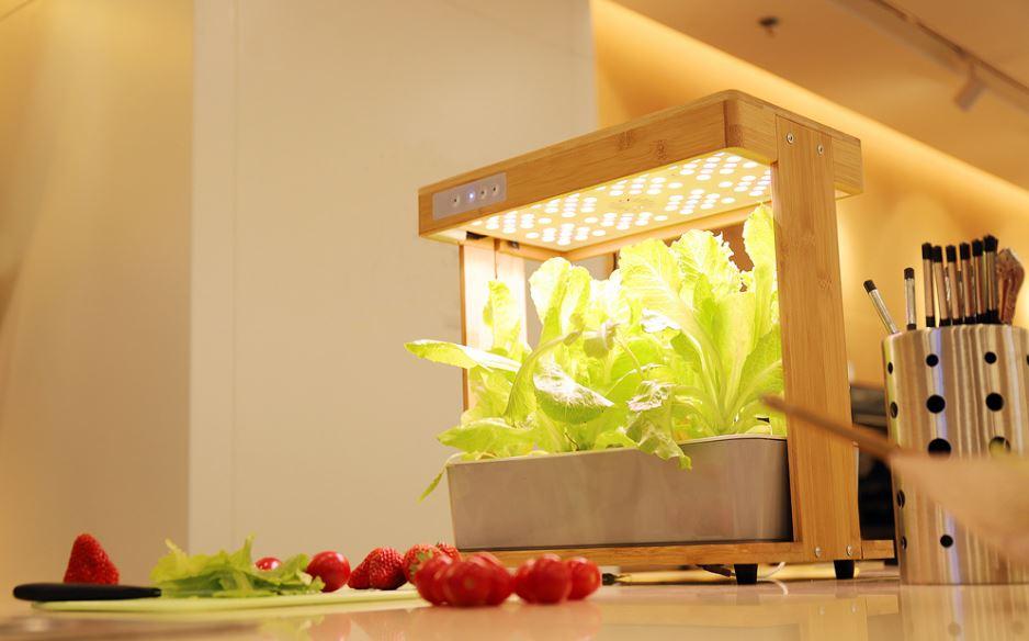 Premium Bamboo Hydroponic System with LED Light, Aerator, Tray, and Plant Food