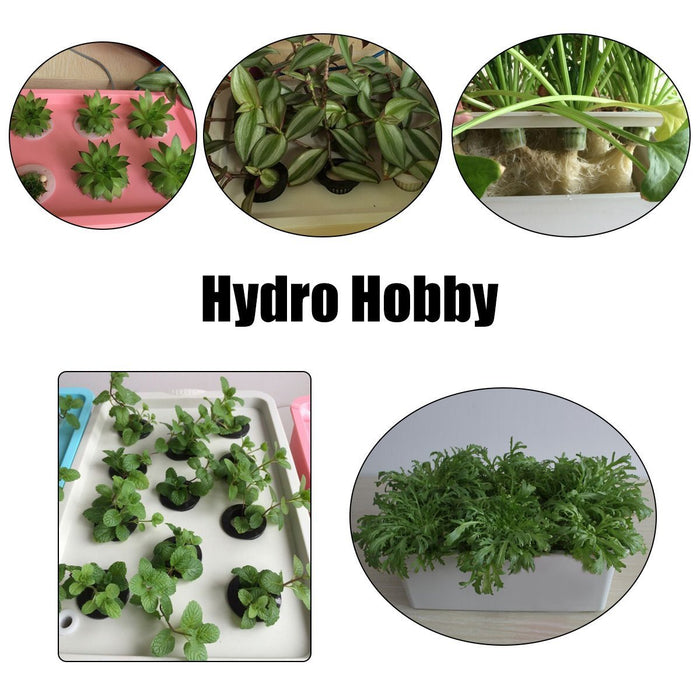 12 Hole Countertop Hydroponic Garden System