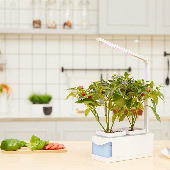 Countertop Hydroponic Micro Garden System with LED light