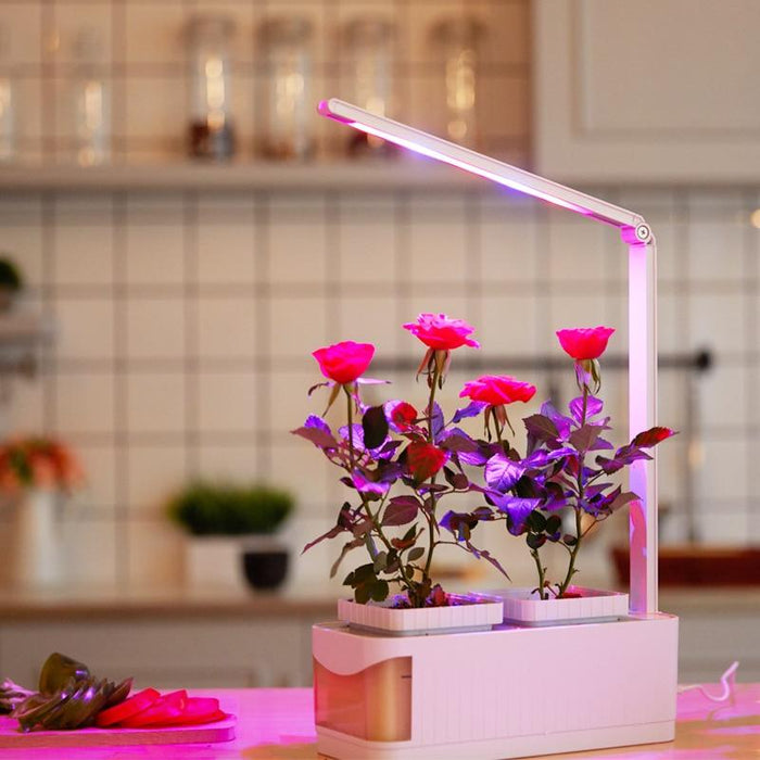 Countertop Hydroponic Micro Garden System with LED light