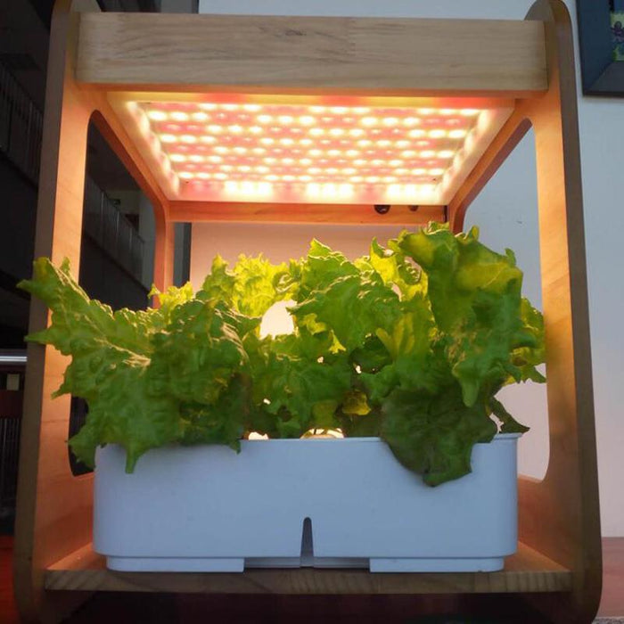 Full-Spectrum LED Wood Frame Grow Light with Hydroponic Tray